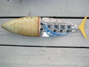 Robotic fish developed for University of Victoria studies on hydrodynamic propulsion.
